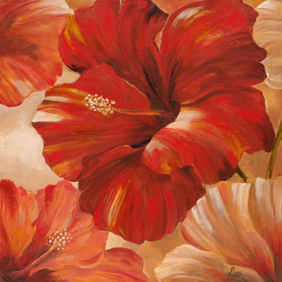 Sunlit Bloom II Poster Print by Nan Image 1