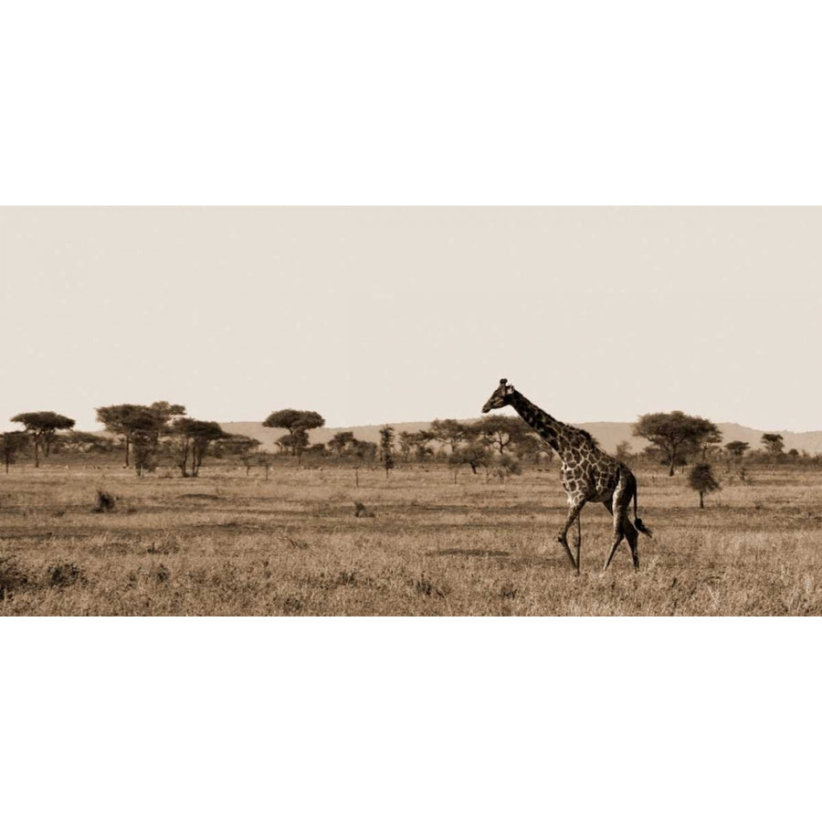 Serengeti Horizons II Poster Print by Jeff/Boyce Maihara/Watt Image 1