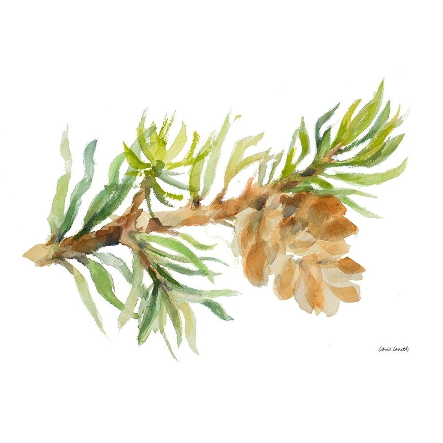 Fir Tree Branch and Cone Poster Print by Lanie Loreth Image 1