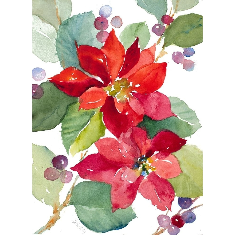 Berry Poinsettias Poster Print by Lanie Loreth Image 1