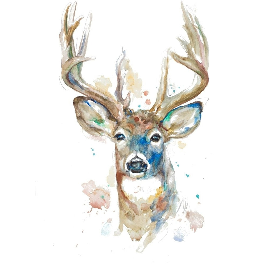 Deer Facing Front Poster Print by Patricia Pinto Image 1