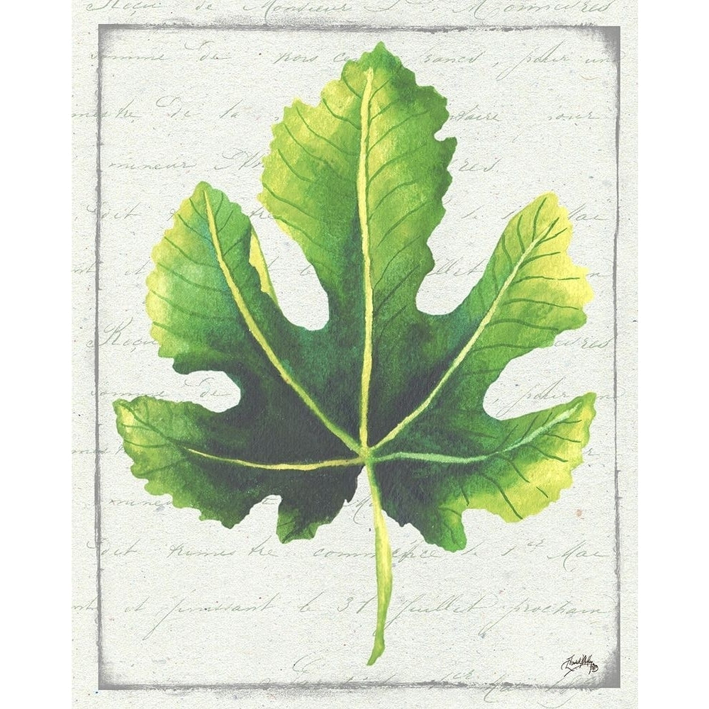 Emerald Leaf I Poster Print by Elizabeth Medley Image 1