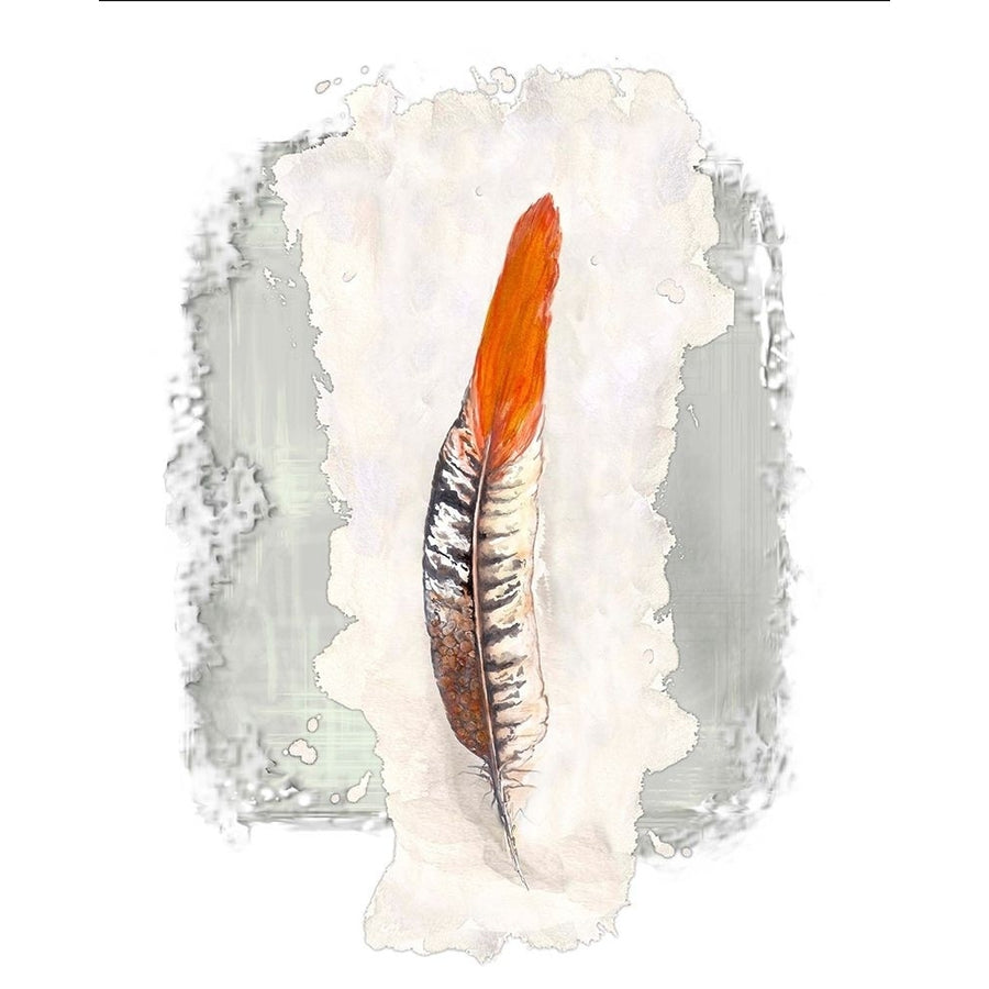 Simple Feather II Poster Print by Diannart Image 1