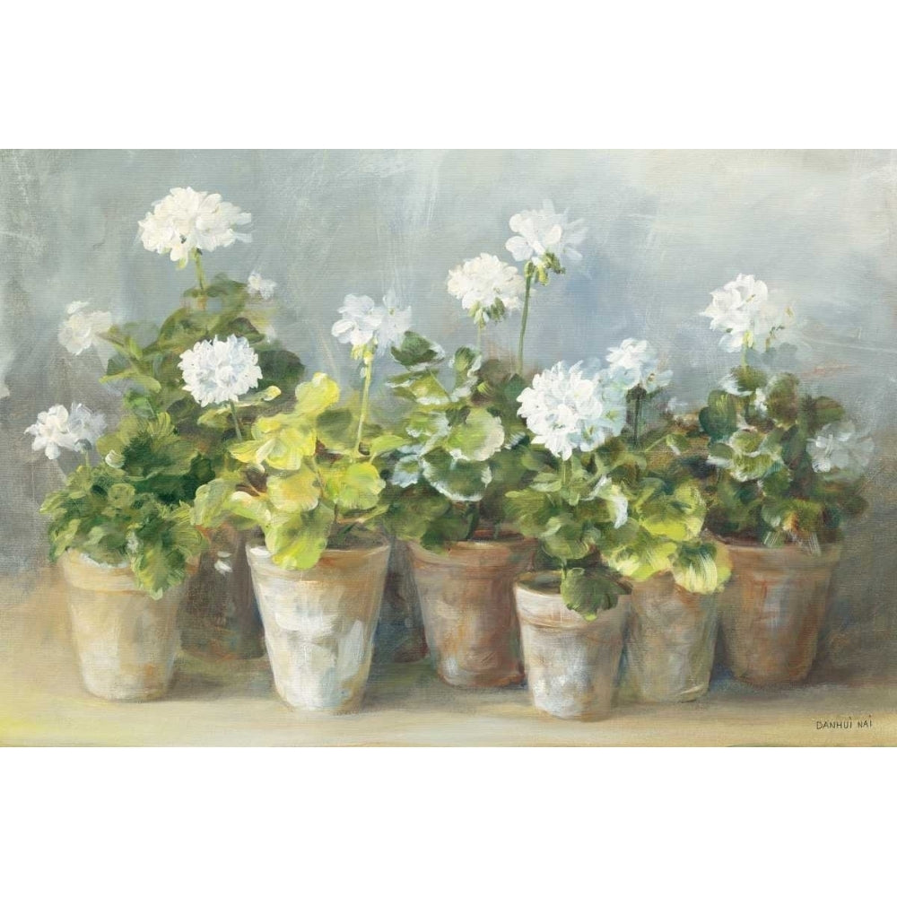 White Geraniums Poster Print by Danhui Nai Image 1