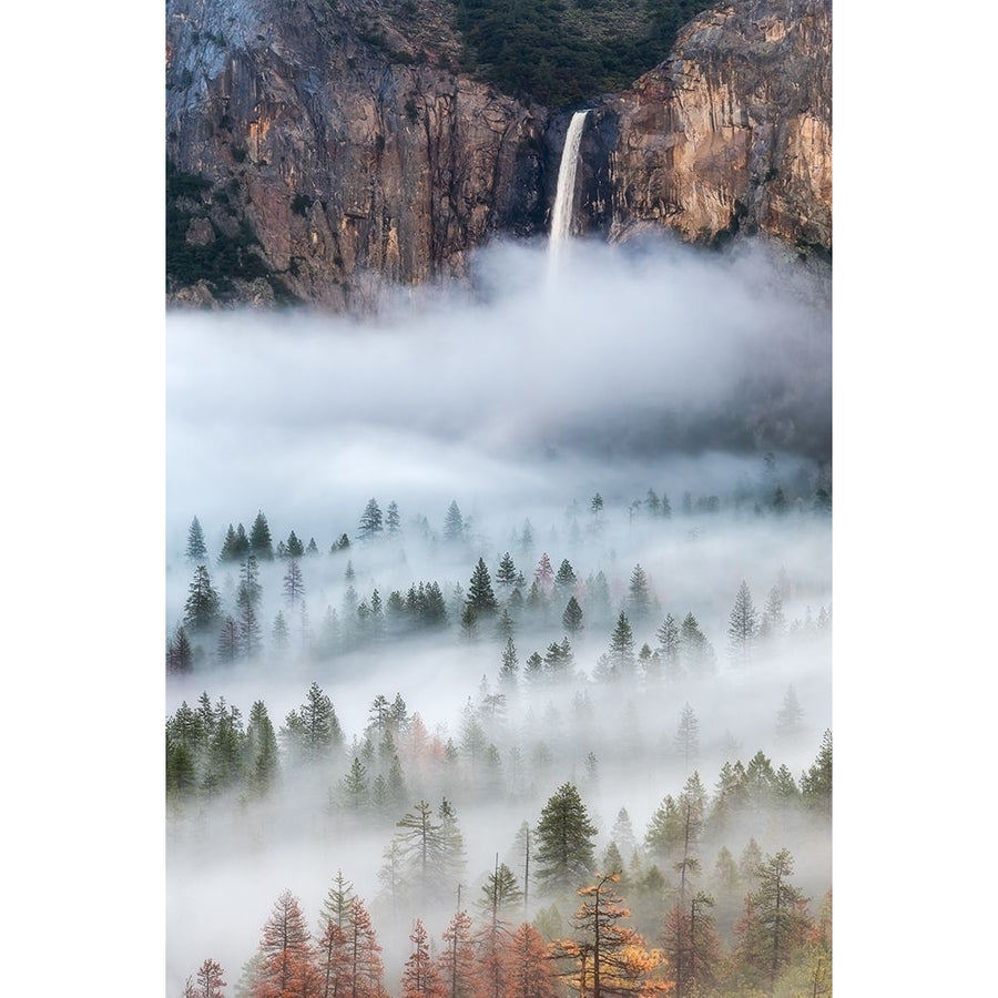 Mist Falls Poster Print - Brandon Yoshizawa Image 1