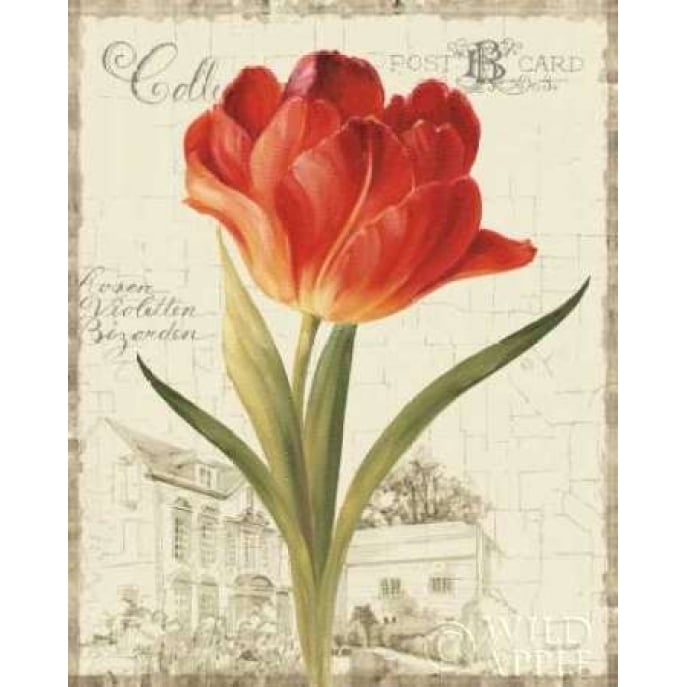 Garden View III - Red Tulip Poster Print by Lisa Audit Image 1