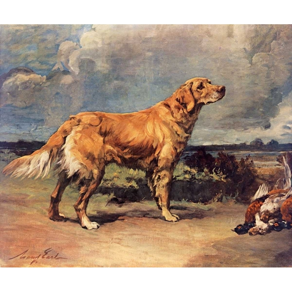 Golden Retriever Poster Print by Maud Earl Image 1