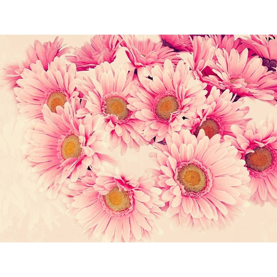 Pink Daisies II Poster Print by Emily Navas Image 1