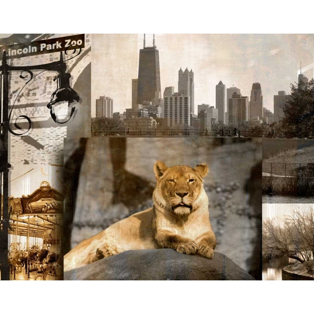 Lincoln Park Zoo Poster Print by Kelly Donovan Image 1