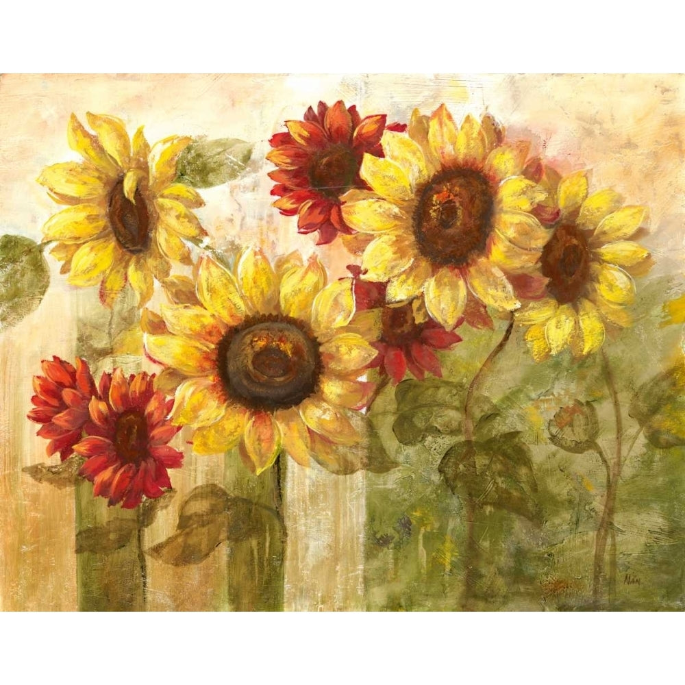 Sunflowers Delight Poster Print by Nan Image 1