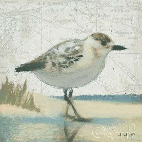 Beach Bird I Poster Print by James Wiens Image 1