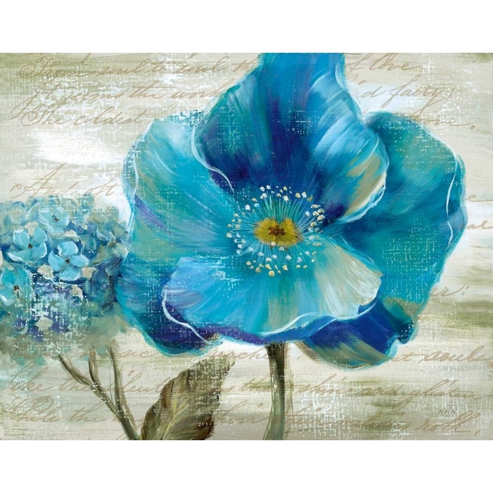 Blue Poppy Poem II Poster Print by Nan Image 1