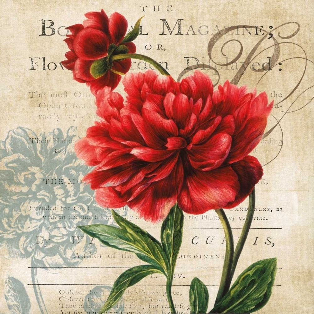 The Botanical Poster Print by Carol Robinson Image 2