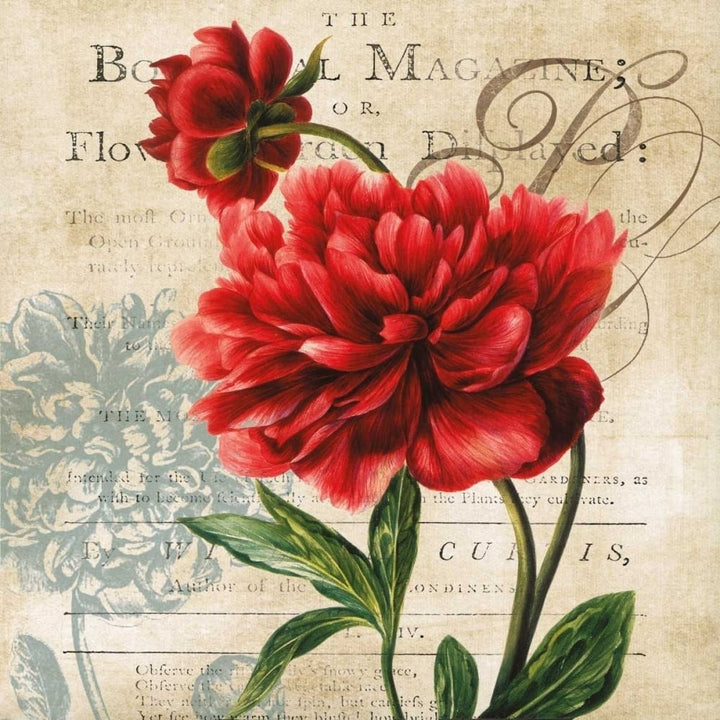 The Botanical Poster Print by Carol Robinson Image 1