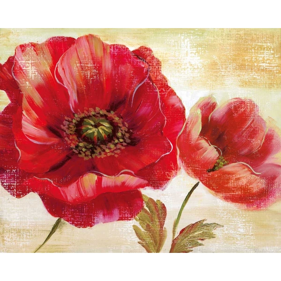 Passion For Poppies I Poster Print by Nan Image 1