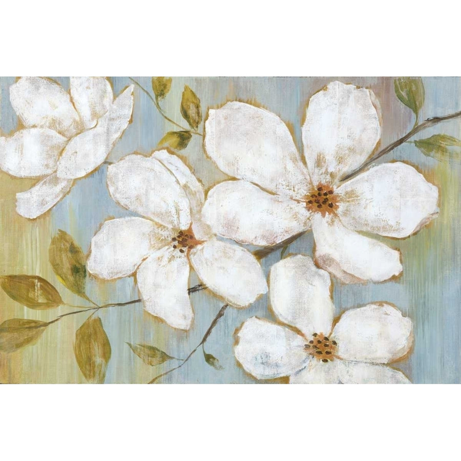 White Blossoms Poster Print by Nan Image 1