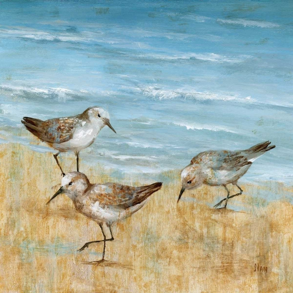 Sandpipers II Poster Print by Nan Image 2