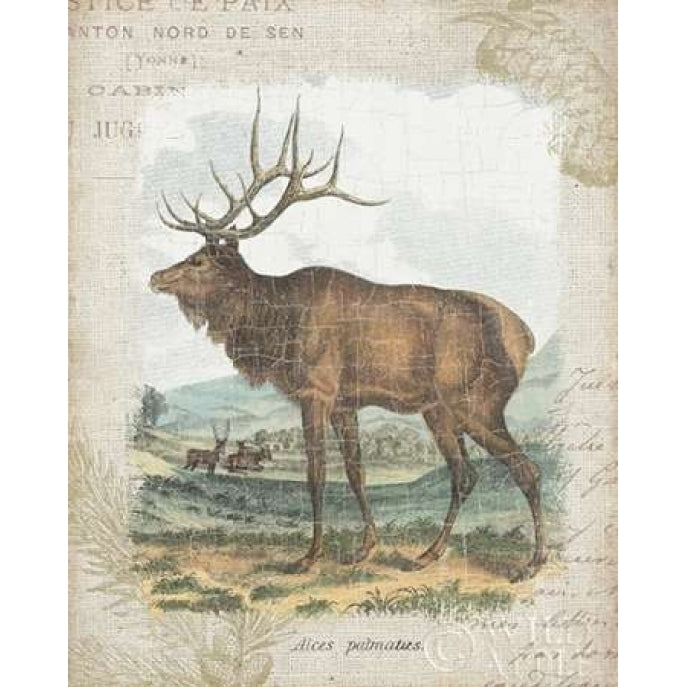 Woodland Stag II Poster Print by Wild Apple Portfolio Image 1