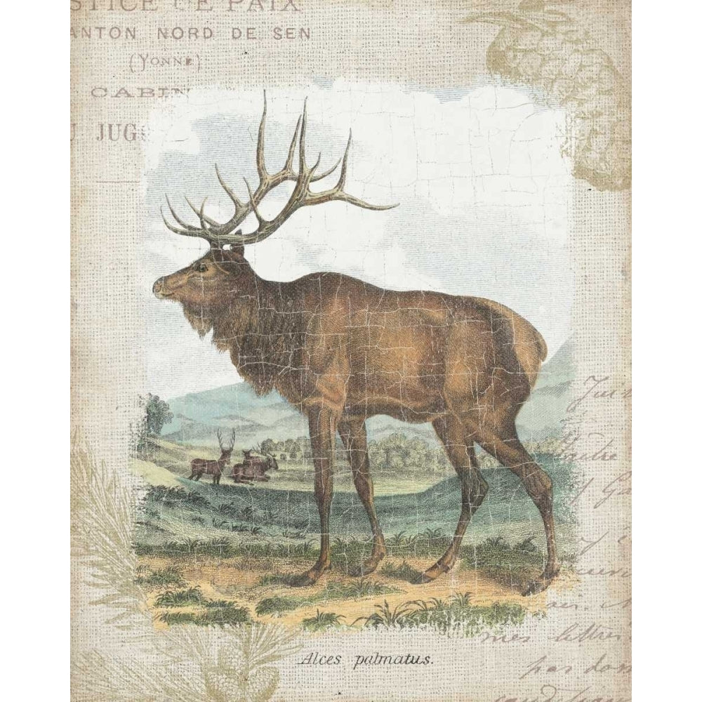 Woodland Stag II Poster Print by Wild Apple Portfolio Image 2