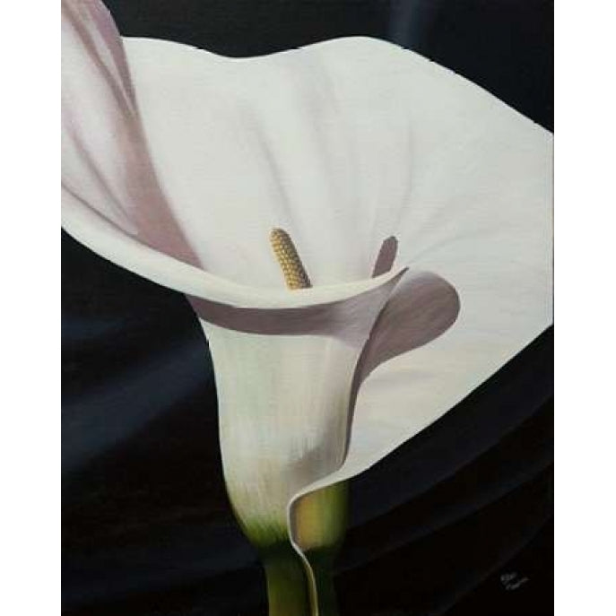 Black Tie Lily Poster Print by Ellen Macoce Image 1