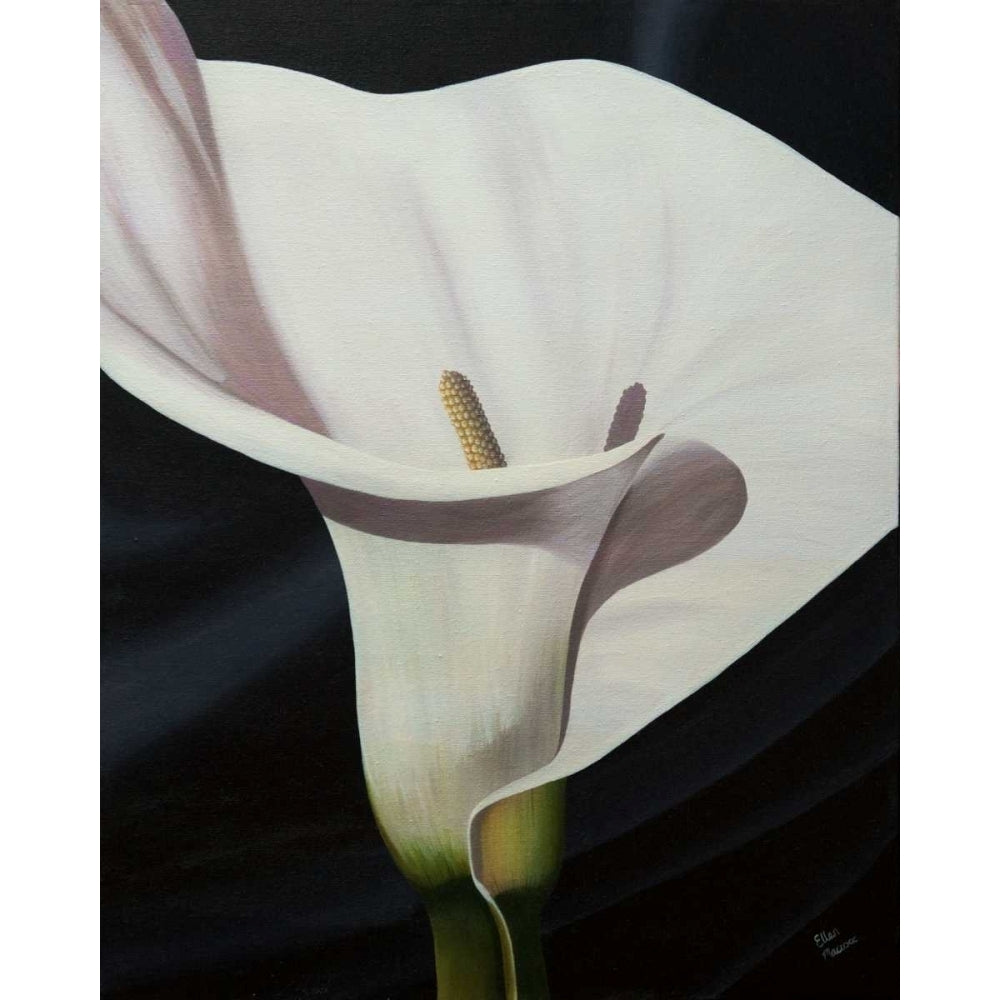 Black Tie Lily Poster Print by Ellen Macoce Image 2