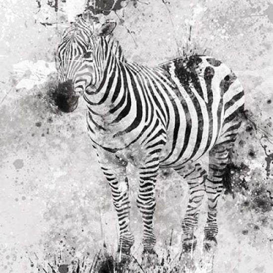 Zebra I Poster Print by Carol Robinson Image 1