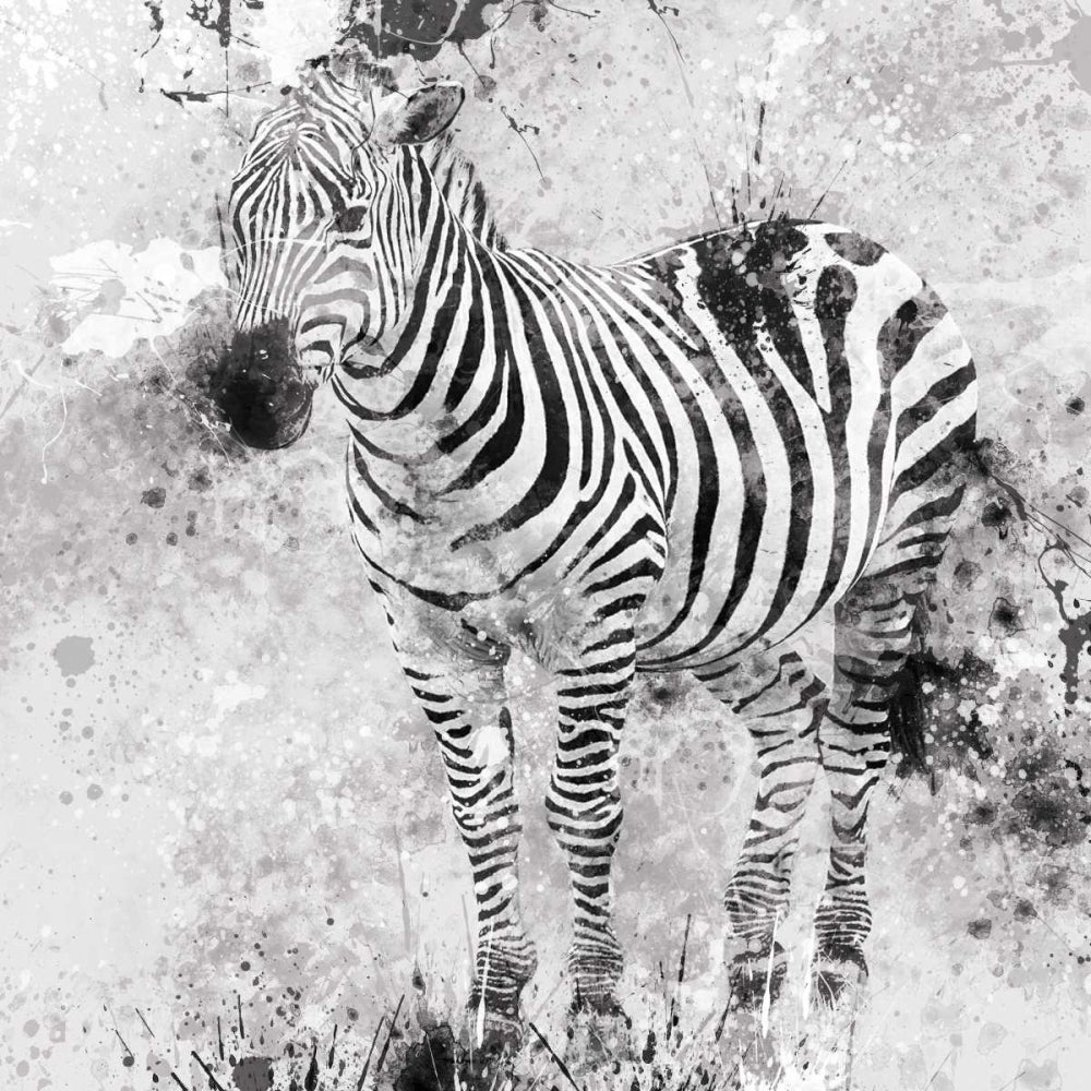 Zebra I Poster Print by Carol Robinson Image 2