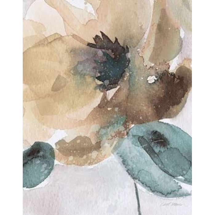 Watercolor Poppy II Poster Print by Carol Robinson Image 1