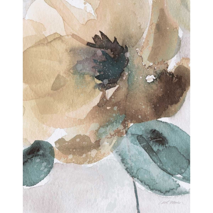 Watercolor Poppy II Poster Print by Carol Robinson Image 2