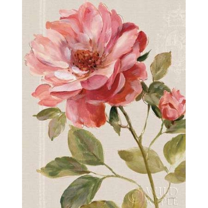 Harmonious Rose Linen Poster Print by Lisa Audit Image 1