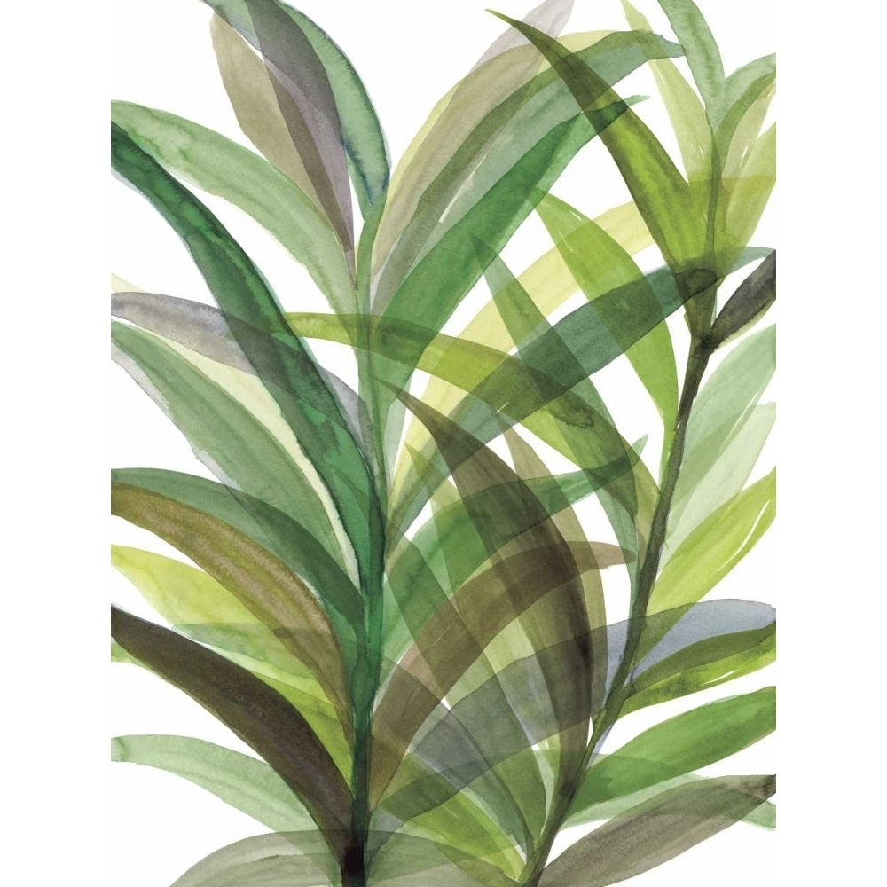 Tropical Greens II Poster Print by Rebecca Meyers Image 2