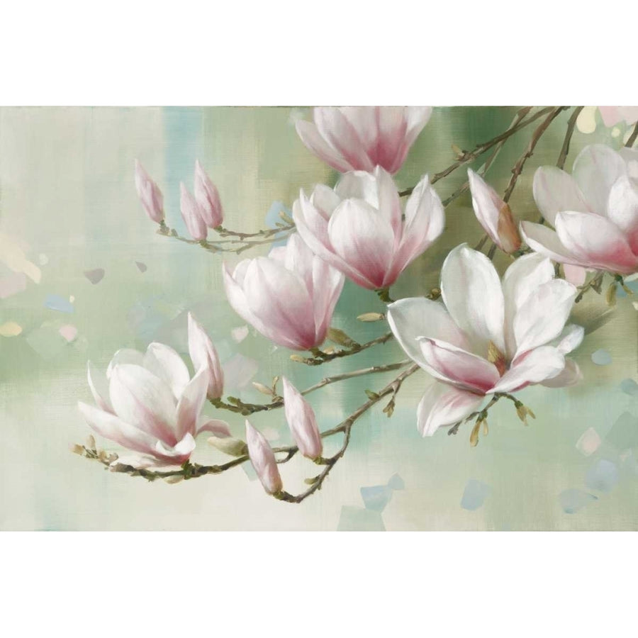 Magnolia Morning Poster Print by Rogier Daniels Image 1