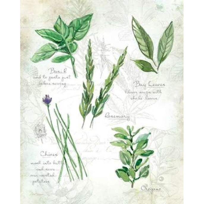 Fresh Herbs I Poster Print by Carol Robinson Image 1