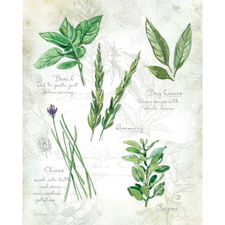 Fresh Herbs I Poster Print by Carol Robinson Image 2