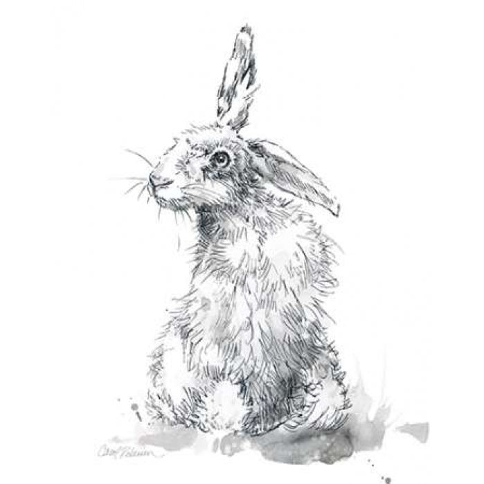 Garden Hare II Poster Print by Carol Robinson Image 1