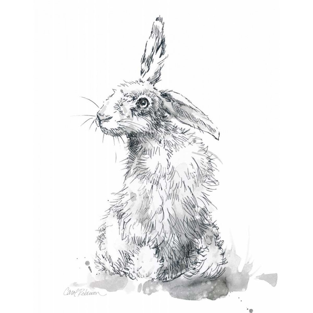 Garden Hare II Poster Print by Carol Robinson Image 2