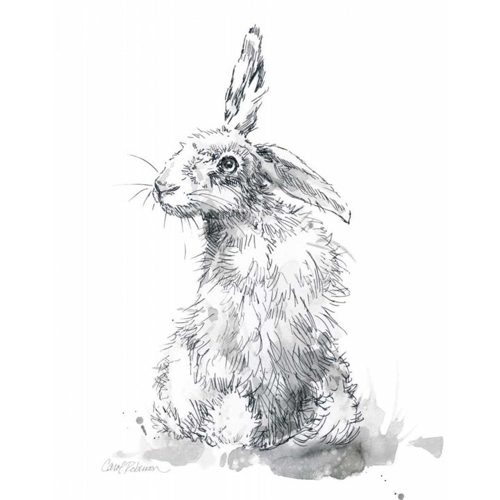 Garden Hare II Poster Print by Carol Robinson Image 1