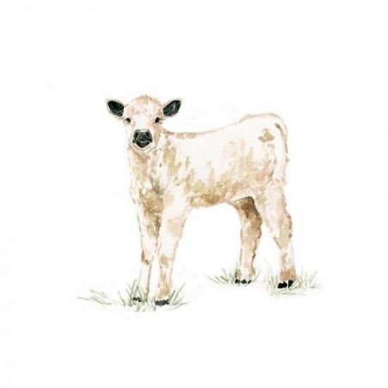 Baby Calf Poster Print by Carol Robinson Image 1