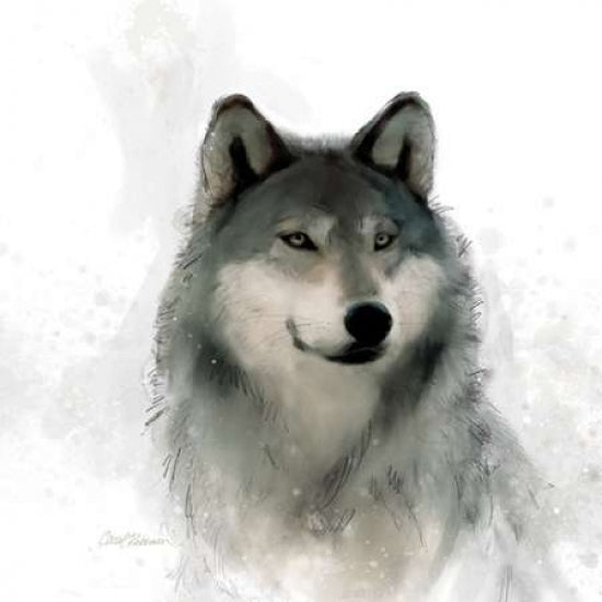 Rainsoft Wolf Poster Print by Carol Robinson Image 2