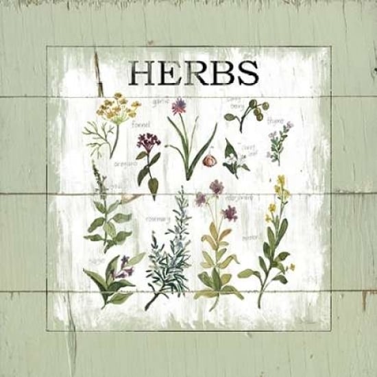 Shiplap Herbs Poster Print by Carol Robinson Image 1