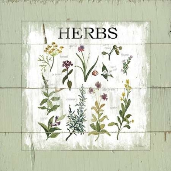 Shiplap Herbs Poster Print by Carol Robinson Image 2