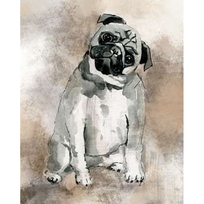 Sketchy Study Pug Poster Print by Carol Robinson Image 1