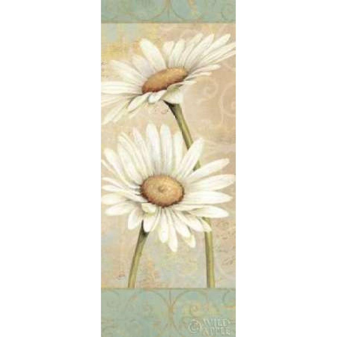 Beautiful Daisies II Poster Print by Daphne Brissonnet Image 1