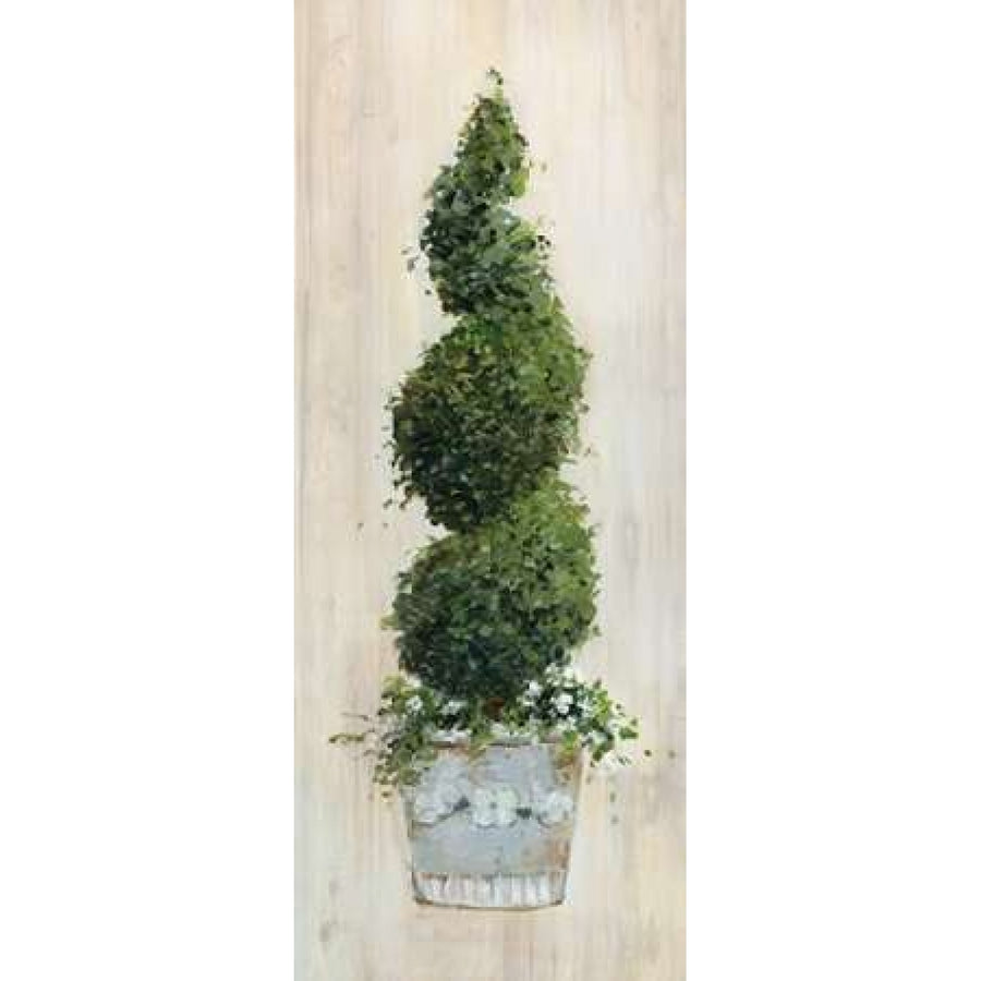 Spiral Topiary Poster Print by Sally Swatland Image 1