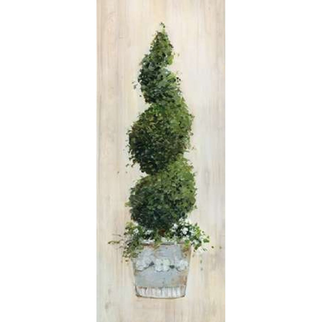 Spiral Topiary Poster Print by Sally Swatland Image 2