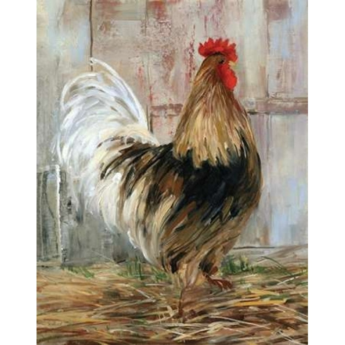Farmhouse Rooster Poster Print by Sally Swatland Image 1