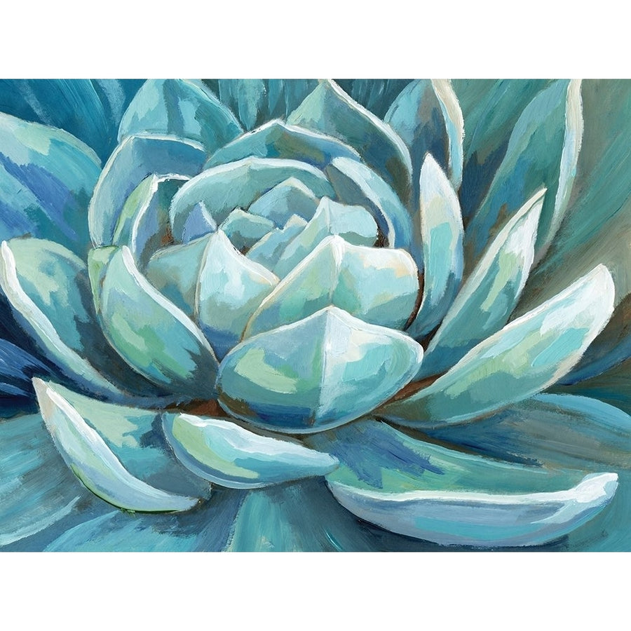 Cerulean Succulent Poster Print by Nan Image 1