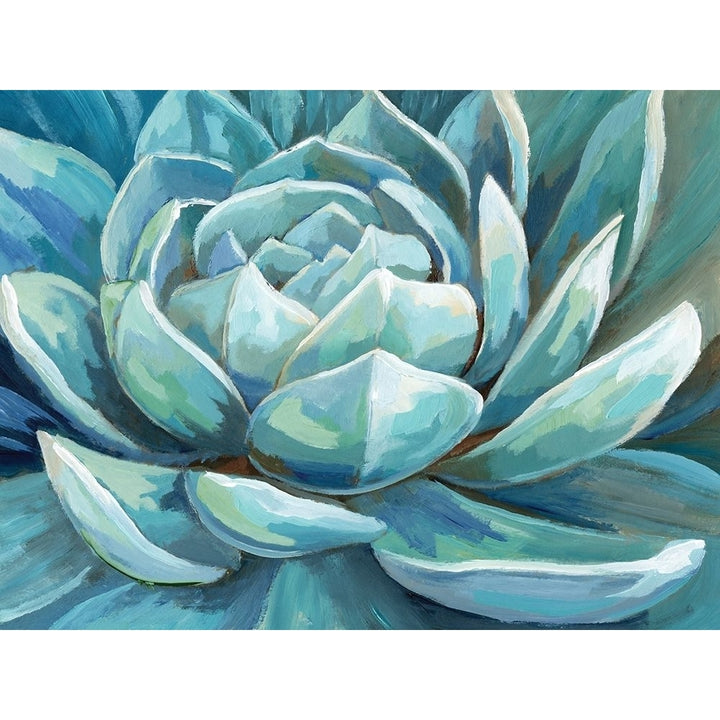 Cerulean Succulent Poster Print by Nan Image 2