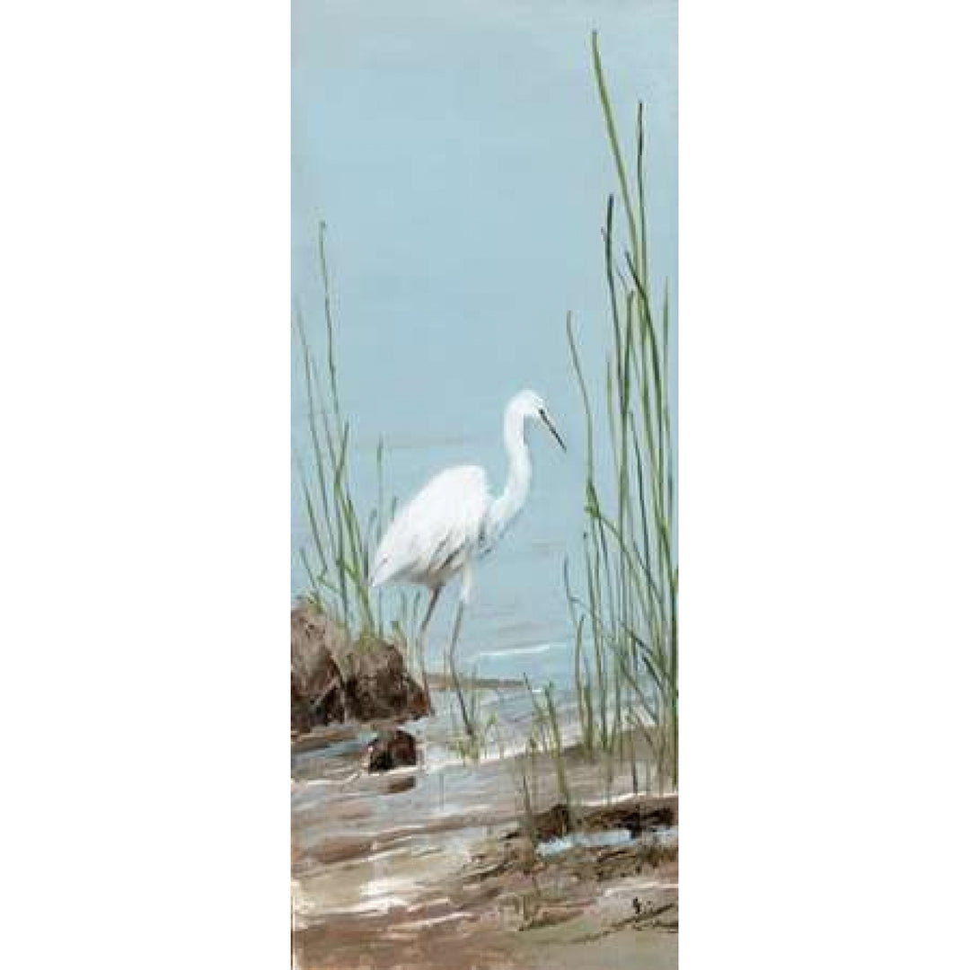 Island Egret I Poster Print by Sally Swatland Image 1