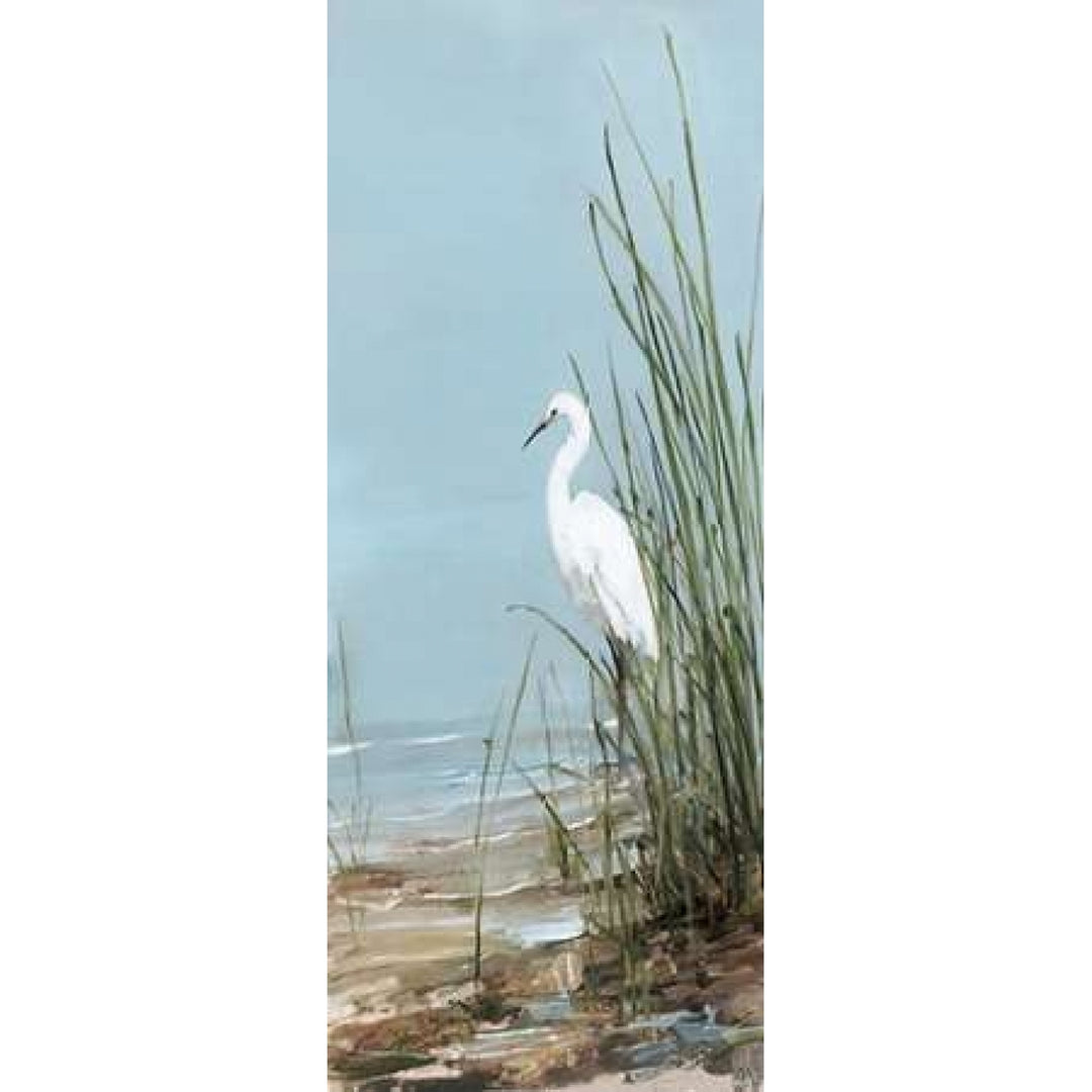 Island Egret II Poster Print by Sally Swatland Image 1